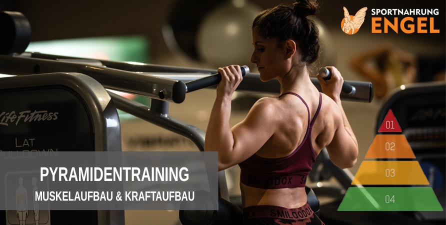 Trainingsplan Pyramidentraining zum Muskelaufbau Trainingsplan Pyramidentraining zum Muskelaufbau