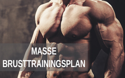 Brust-Trainingsplan f&uuml;r mehr Masse