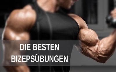 Die besten Bizeps&uuml;bungen