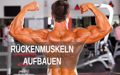 Trainingsplan - Breite R&uuml;ckenmuskeln aufbauen