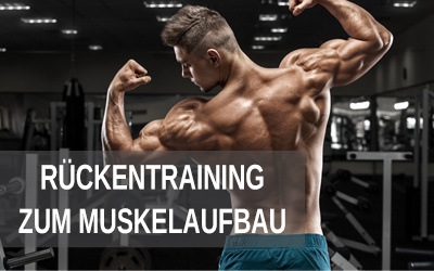 R&uuml;ckentraining zum Muskelaufbau, Trainingsplan R&uuml;cken