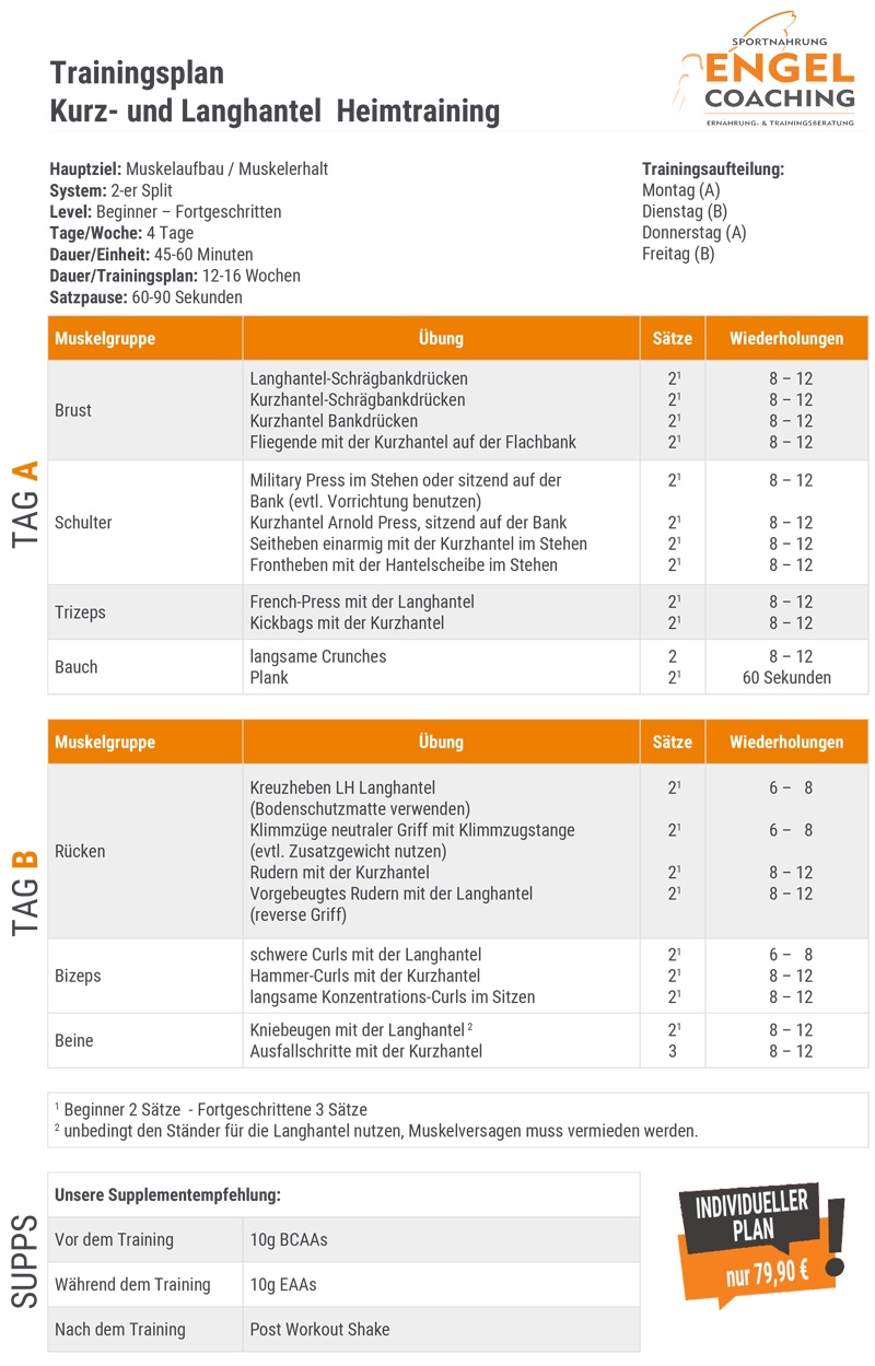 Hanteltraining Trainingsplan Kostenloser Trainingsplan mit Lang- und Kurzhantel für das Training zuhause.