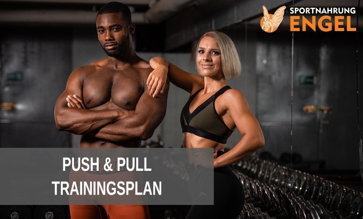 Das effektivste Push Pull Training im 2er-Split für Einsteiger & Fortgeschrittene Das effektivste Push Pull Training im 2er-Split für Einsteiger & Fortgeschrittene