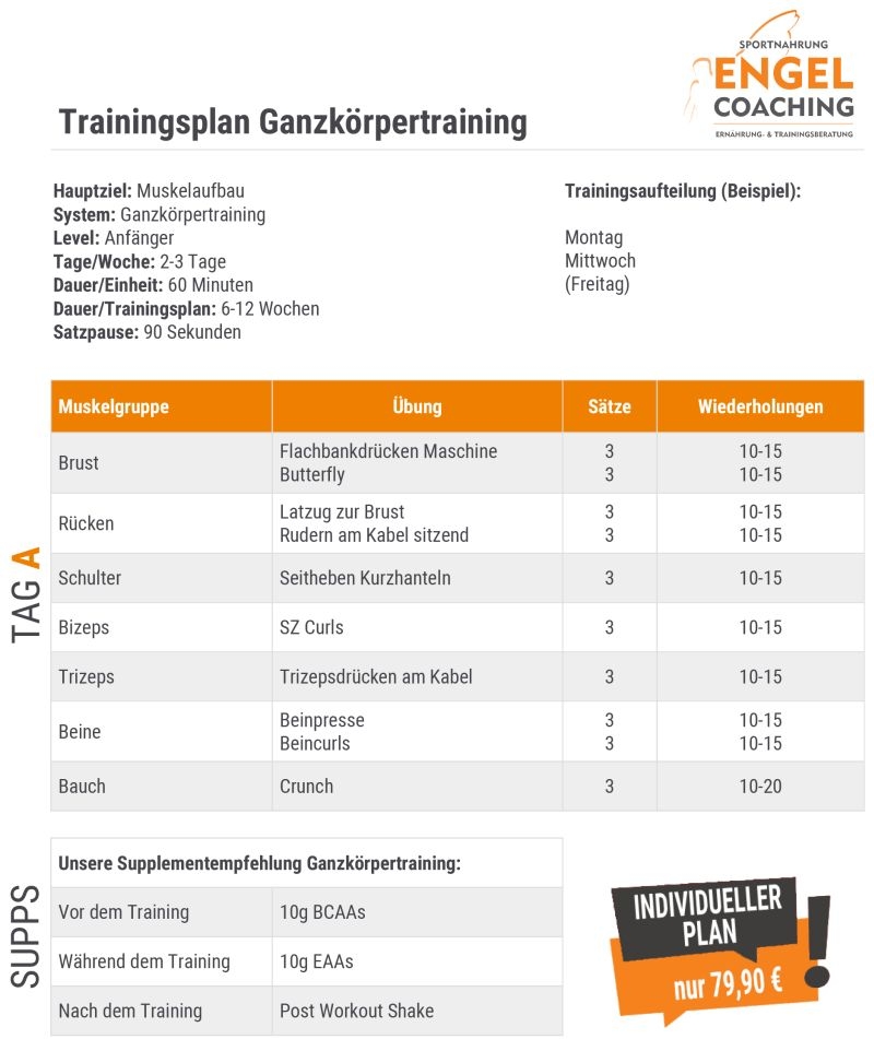 Ganzk&ouml;rpertraining Trainingsplan zum Muskelaufbau