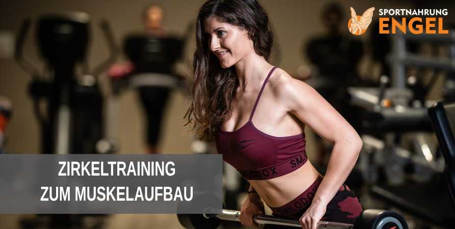 Zirkeltraining zum Muskelaufbau Zirkeltraining zum Muskelaufbau