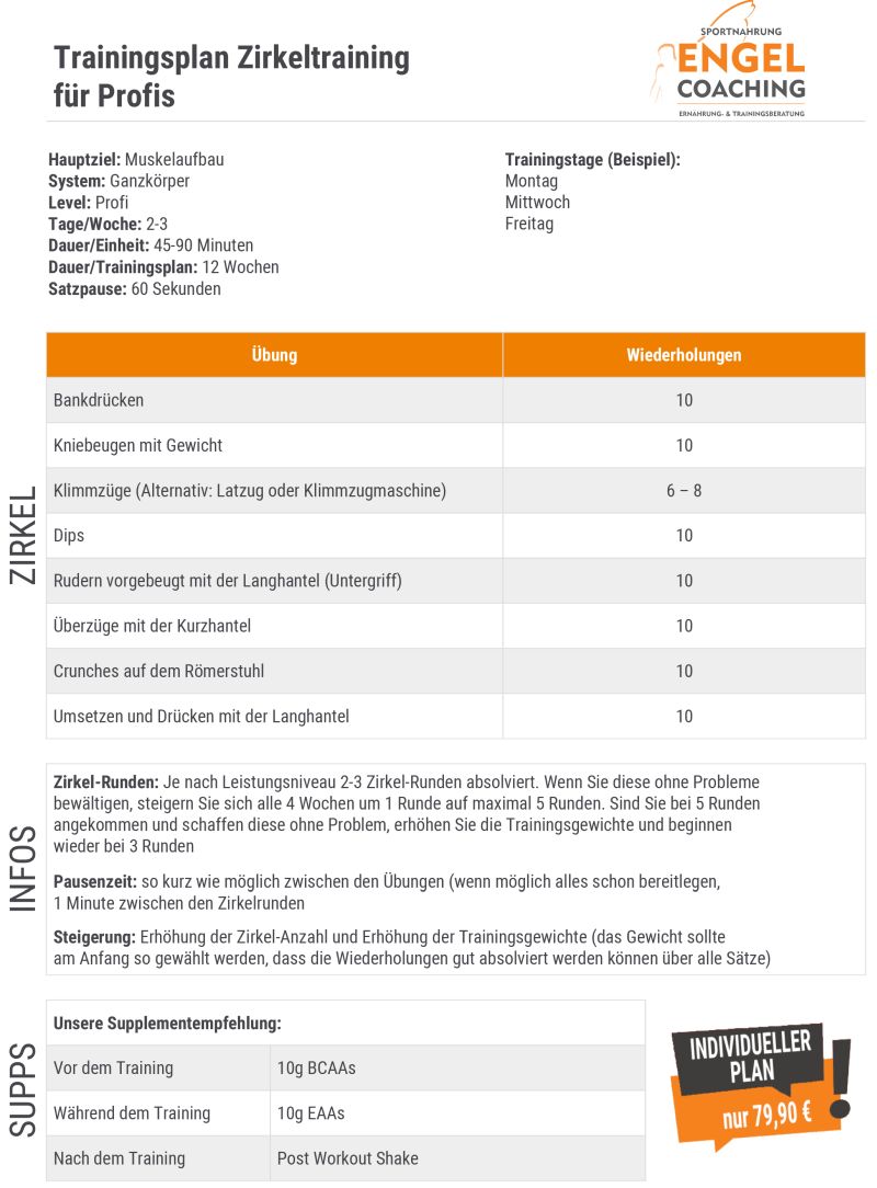 Zirkeltraining zum Muskelaufbau für Profis Zirkeltraining zum Muskelaufbau für Profis