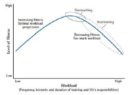 Overeaching aber kein Overtraining Leistungskurve