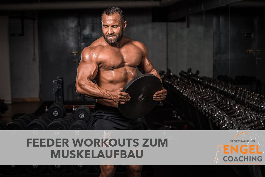 Feeder Workouts für mehr Muskelaufbau Feeder Workouts für neues Muskelwachstum