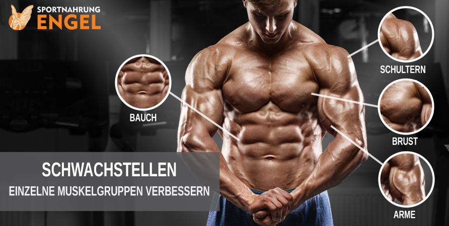 Einzelne Muskelgruppen verbessern Schwachstellen ausgleichen mit unseren Trainingsplänen